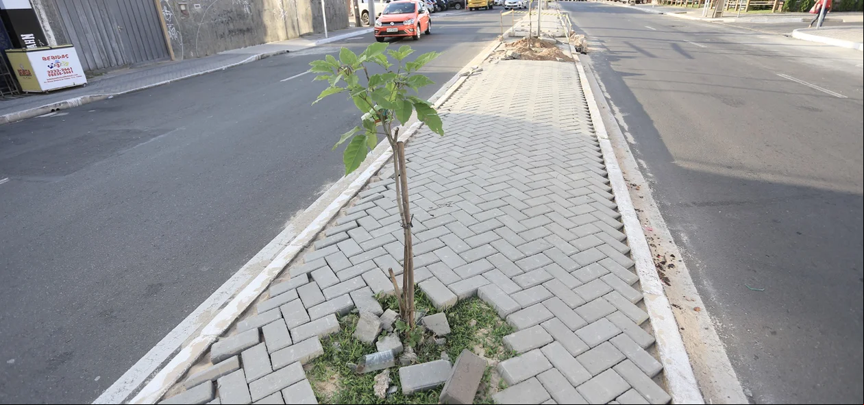 Novo Calçamento