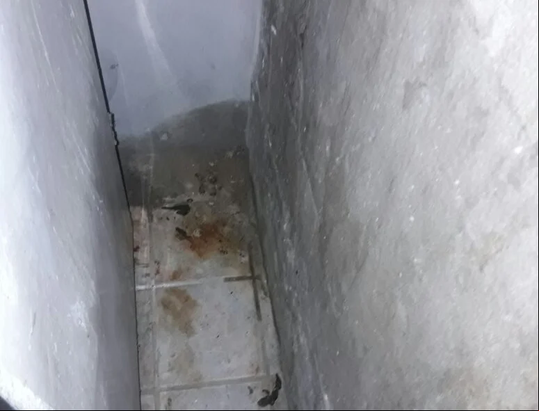 Fezes de gato no banheiro sujo