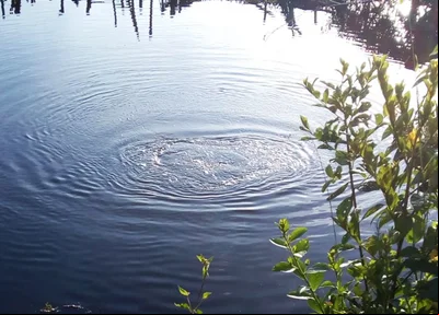 Lagoa onde o corpo do adolescente foi encontrado