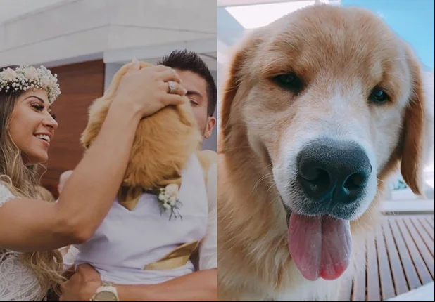 Mayra Cardi doa cachorro e revolta os seguidores