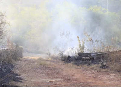 Incêndio atingiu vegetação na beira da estrada