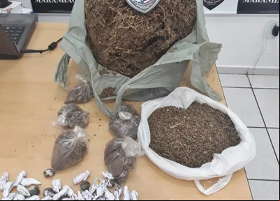 Droga apreendida pela Polícia Civil em Timon