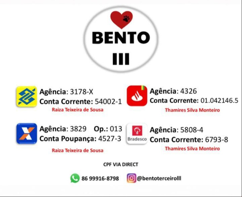 A ONG está recebendo doações para ajudar a custear o tratamento do Chico