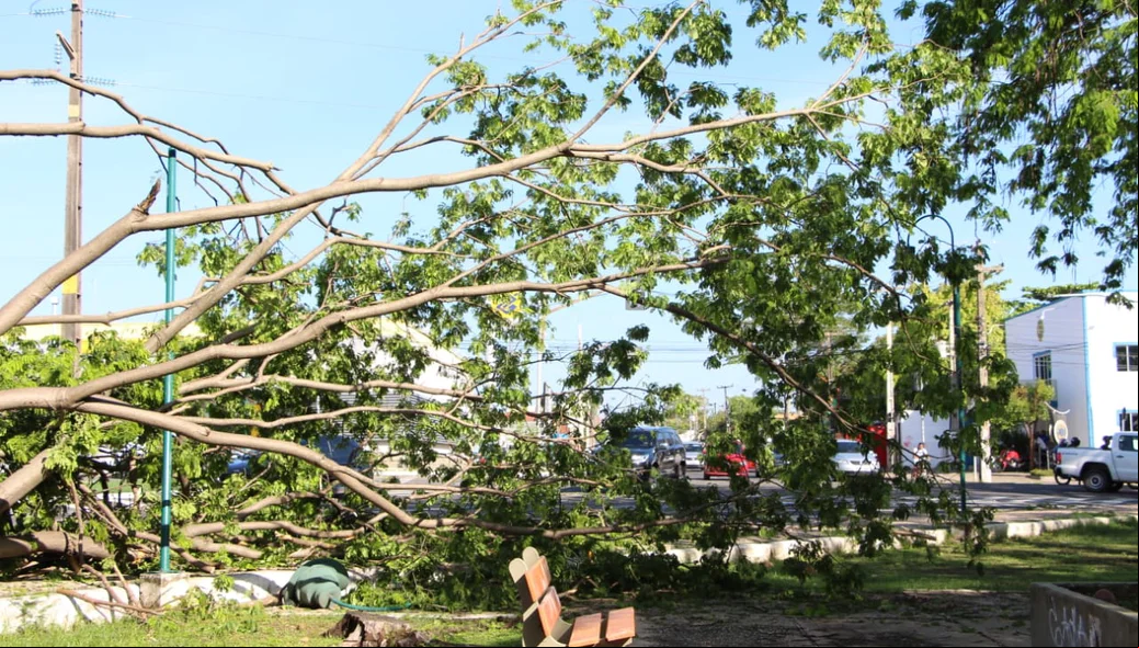 O fato aconteceu na zona norte de Teresina