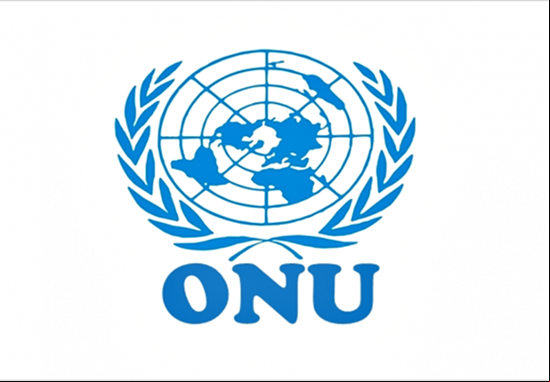 Organização das Nações Unidas