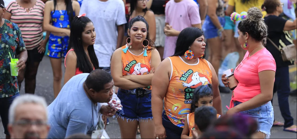 Foliões durante o bloco Vaca Atolada no bairro Matinha