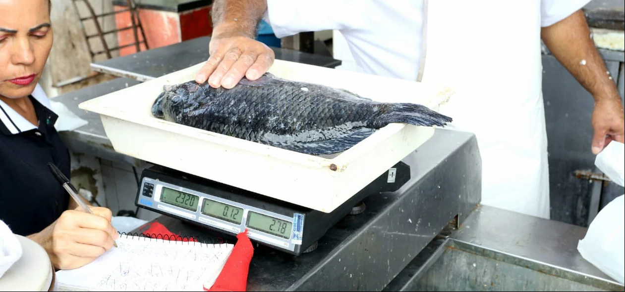 Preço do quilo dos peixes