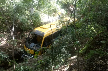Ônibus foi arrastado para dentro da mata