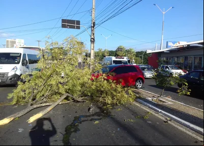 Veículo Golf ficou atravessado no canteiro central da Avenida João XXIII