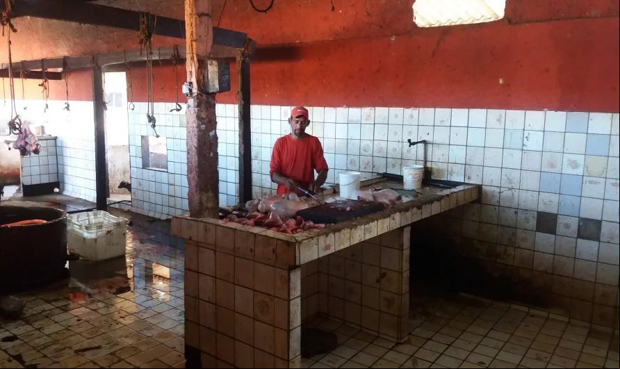 Local onde se abate animais