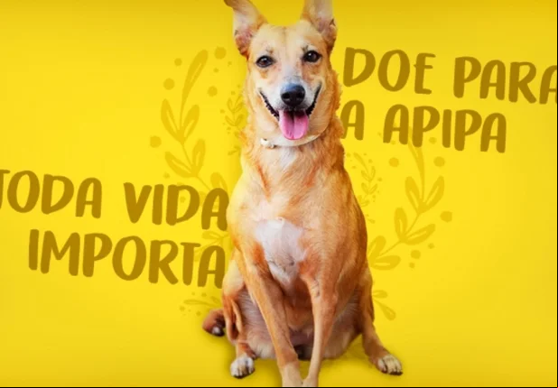 A entidade abriga mais de 300 animais