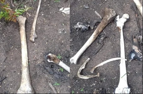 Ossada humana encontrada em Olho D´água do Piauí