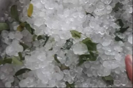 Chuva de granizo em Currais