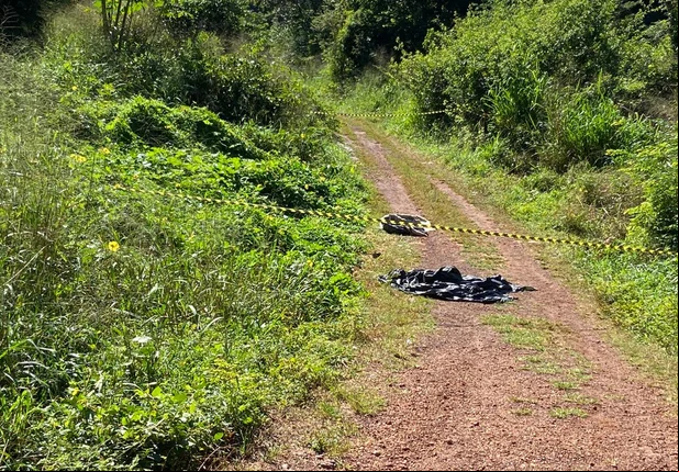 Corpo de homem é encontrado com 12 perfurações de faca na BR 343