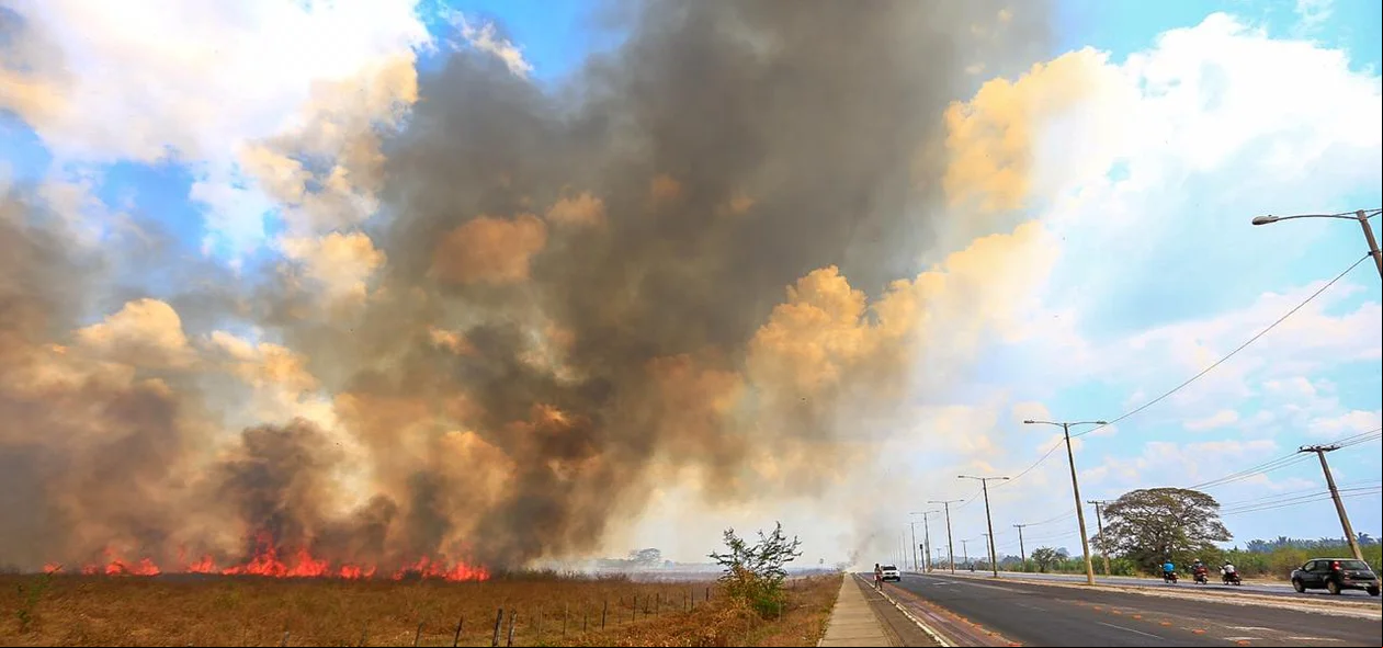 O fato aconteceu em uma fazenda na zona norte de Teresina