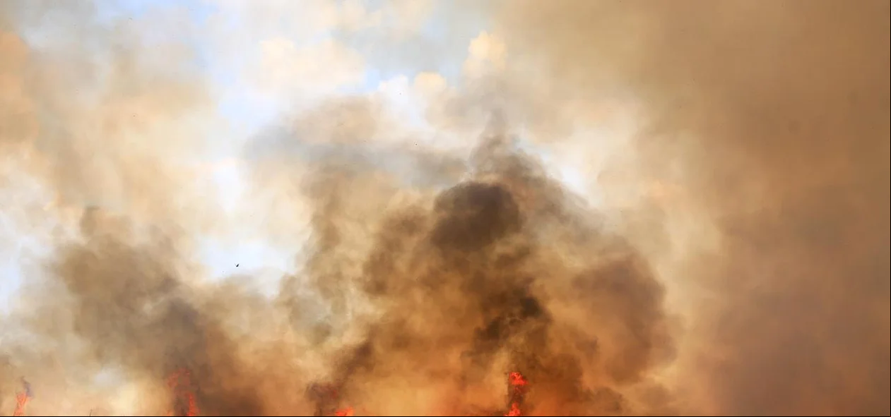 O incêndio já atingiu cerca de 2 hectares de terra 