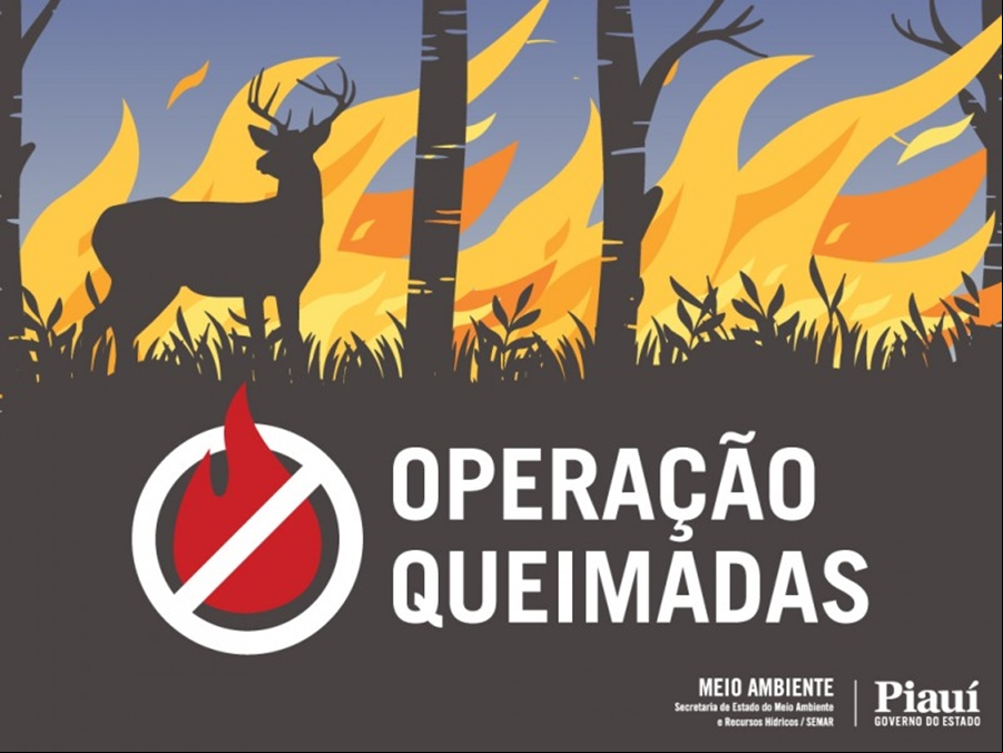 Operação Queimadas da Semar