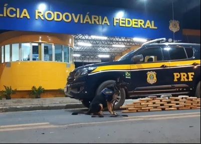 Tabletes de maconha foram apreendidos pela PRF-PI