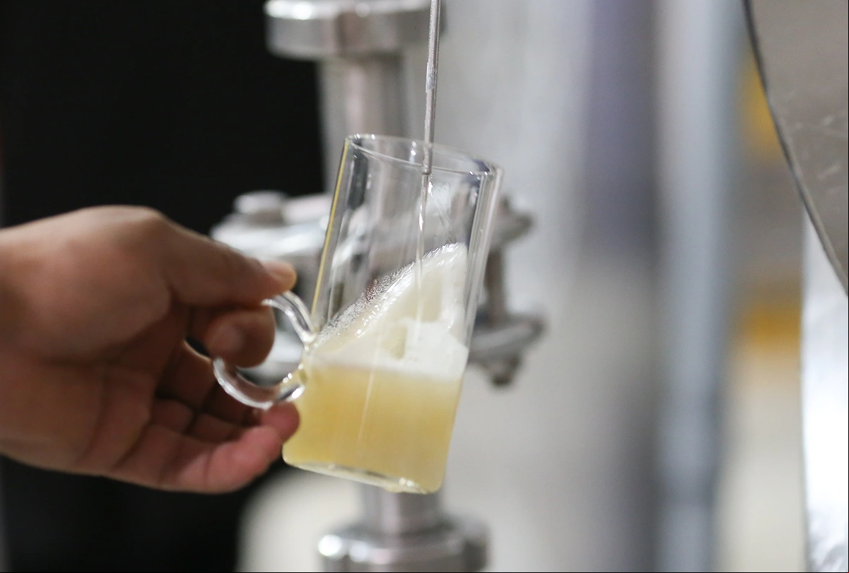 Degustação da cerveja Berrió
