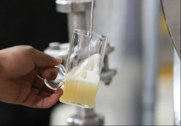 Degustação da cerveja Berrió
