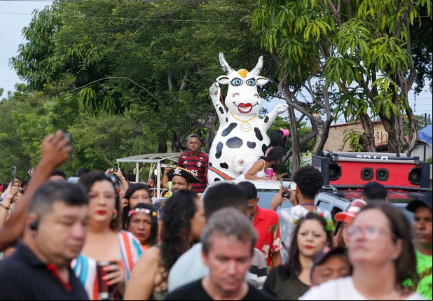 Vaca Atolada reúne milhares de foliões na zona norte