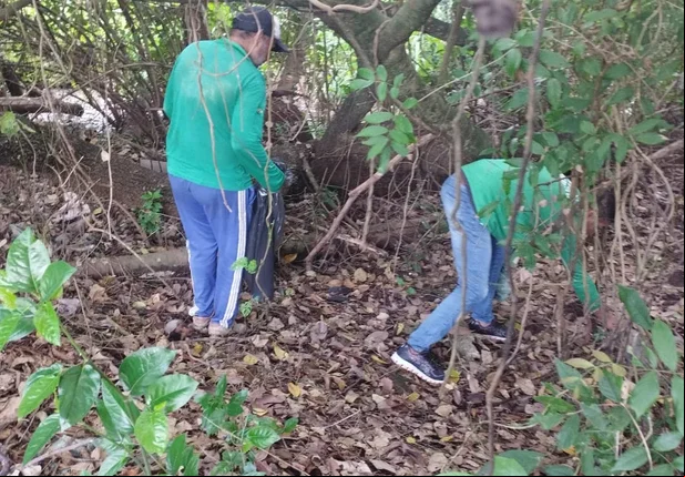 Prefeitura de Joaquim Pires realiza limpeza de nascentes