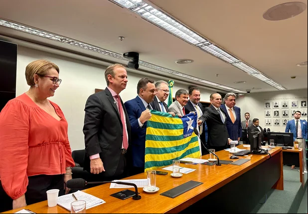 Bancada Federal do Piauí se reúne com prefeitos em Brasília