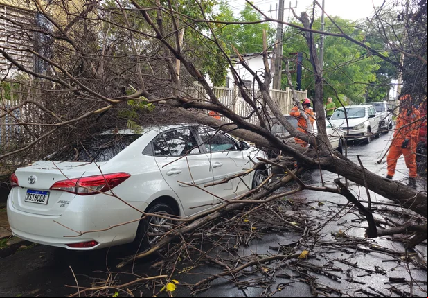 Chuva forte causa estragos e provoca alagamentos em Teresina