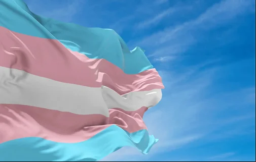 Lutas e conquistas: 20 anos do Dia Nacional da Visibilidade Trans